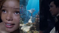 A pequena sereia